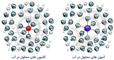 Ions_in_Solution