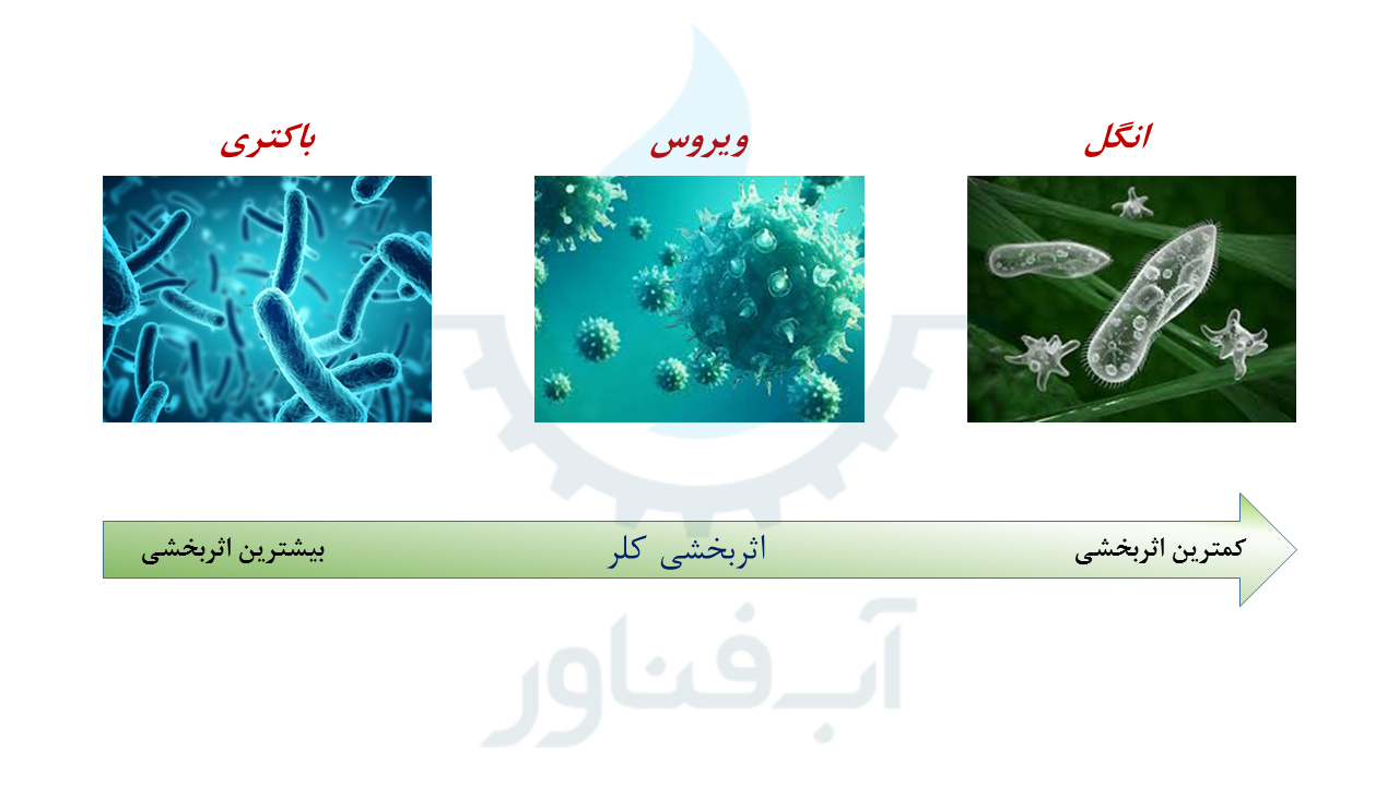 Effectiveness-of-Chlorine-against-different-types-of-microorganisms