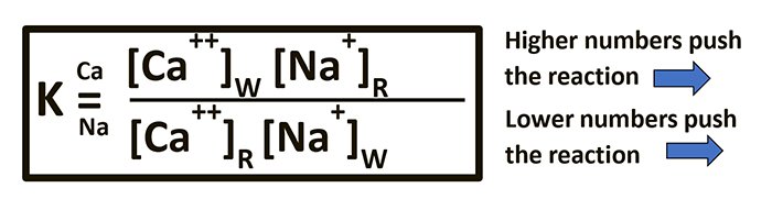 Figure1 - Equilibrium Equation