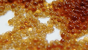 Ion_Exchange_Resin_Beads