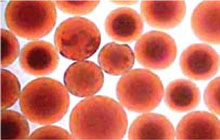 iron-damaged-resin-beads