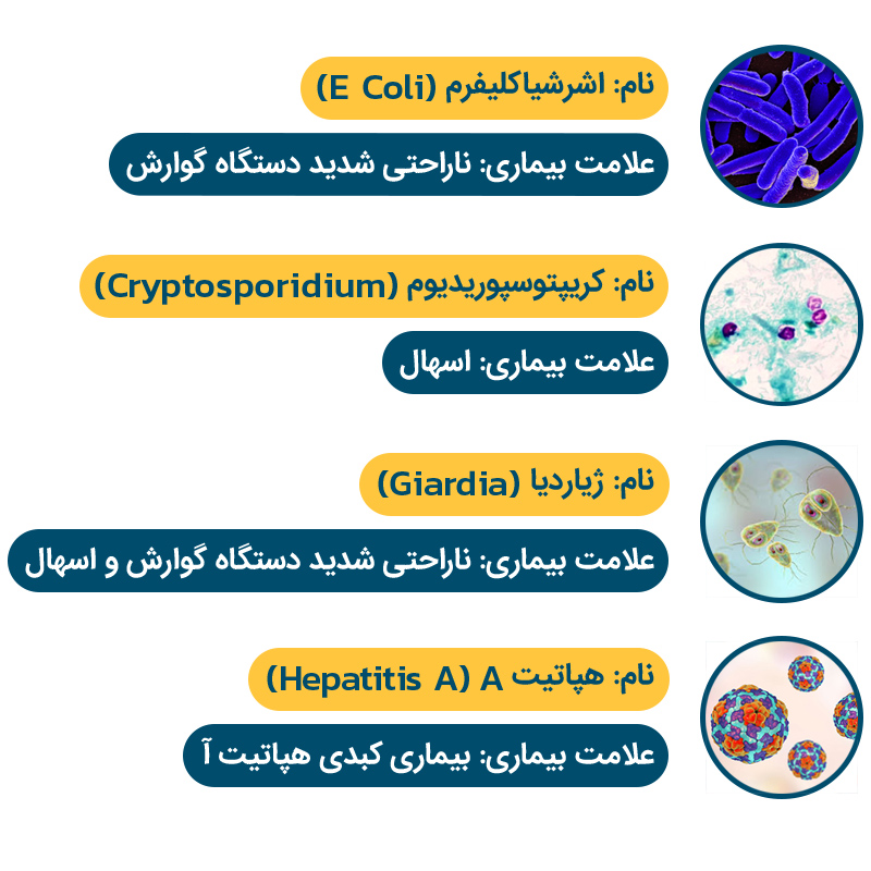 UV-Effect-on-Microorganisms-800-800