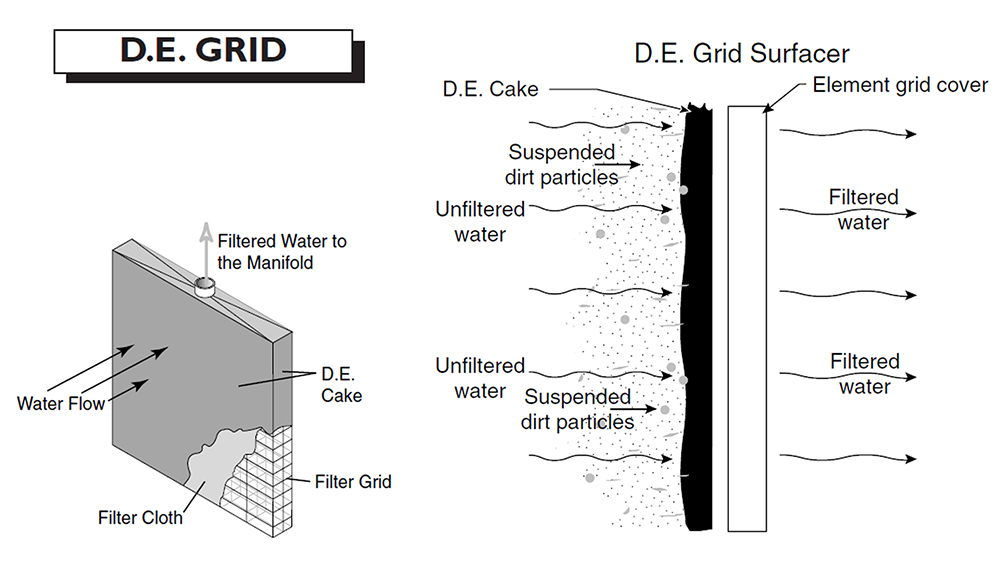 کیک دیاتومه - 1000 کیک دیاتومه - 1000