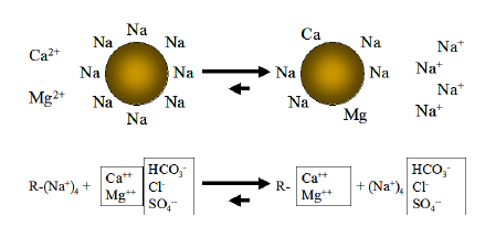 Water Softener Ion Exchange Process